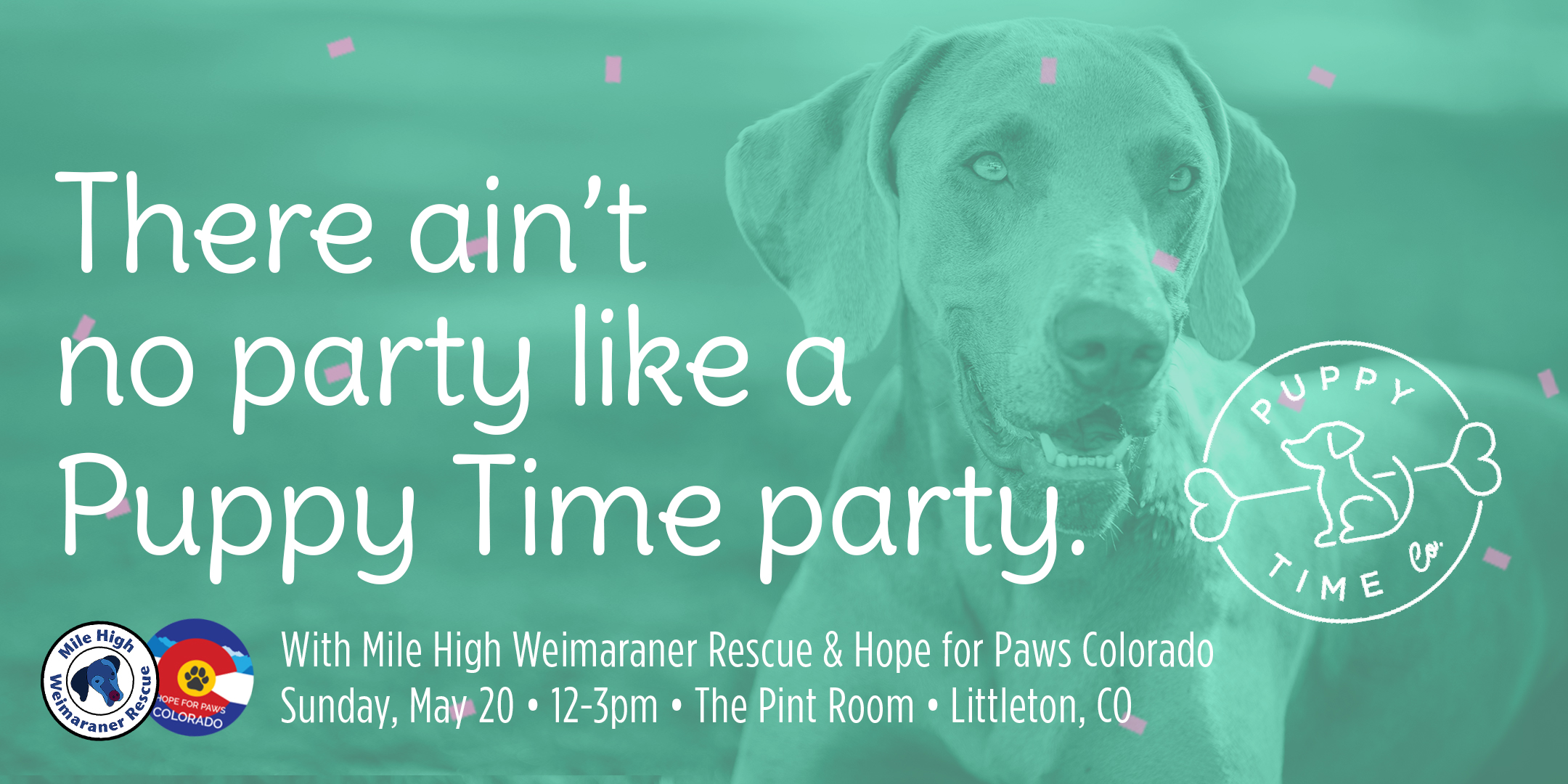 Puppy Time Party